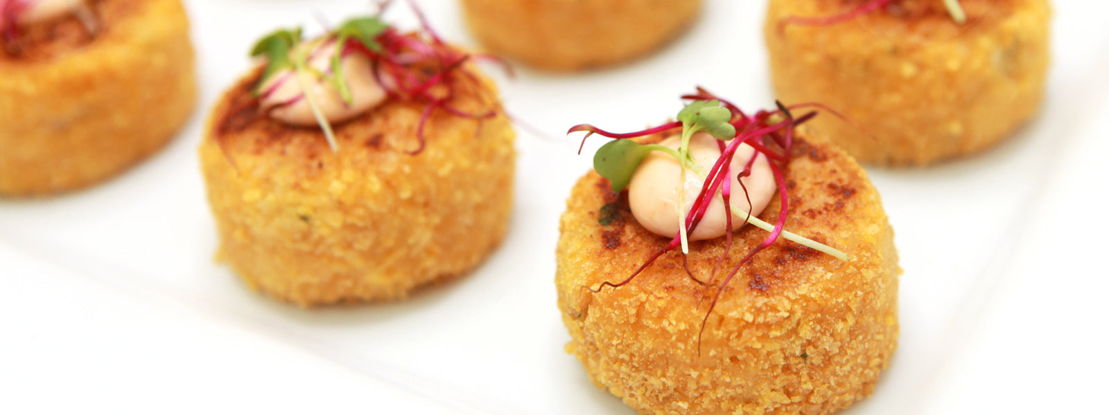 Te tequenitos Gourmet Bites